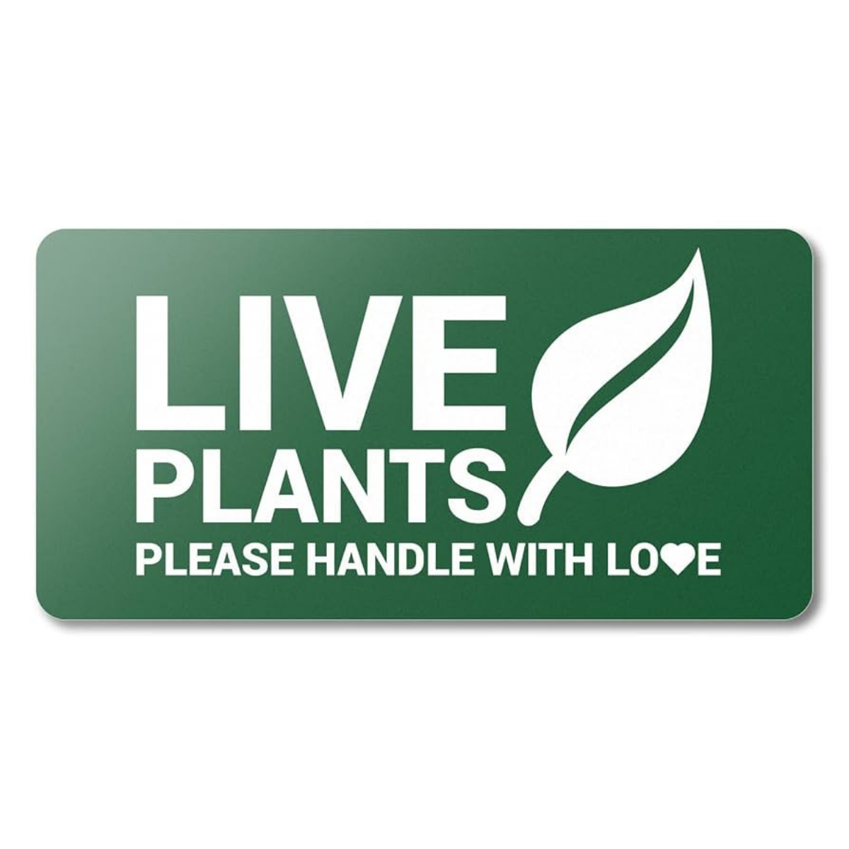 Expert Guide to Plant Care Labels: Templates, DIY, and Professional Insights