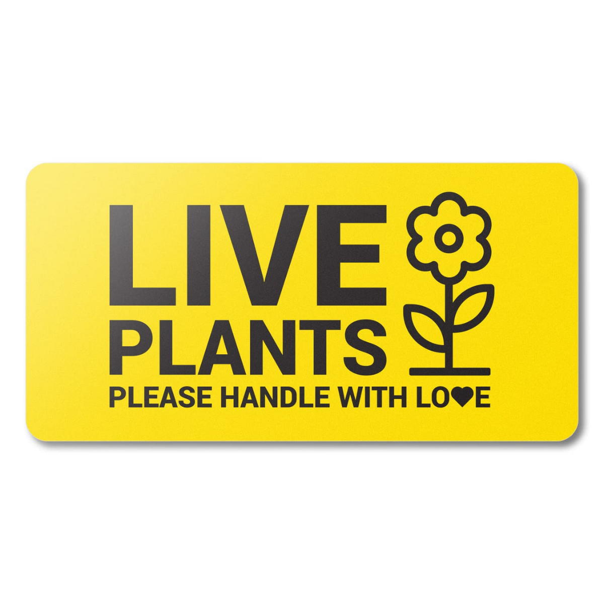 Expert Guide to Plant Care Labels: Templates, DIY, and Professional Insights