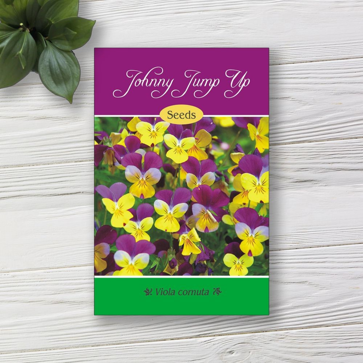 Designing and Printing Seed Packet Labels: Templates and Ideas