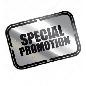 Rectangle Metallic Silver Labels